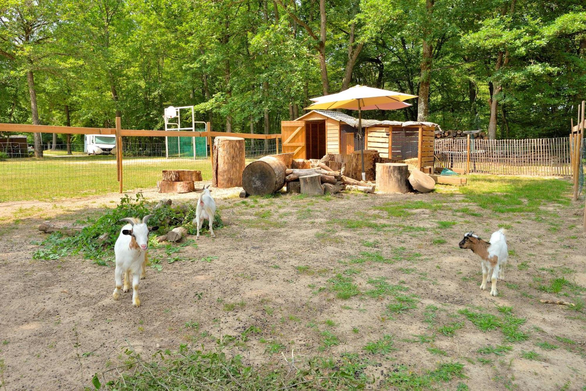 Camping Etang De La Vallee